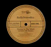 10'' - Badly Drawn Boy - Pissin In The Wind