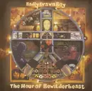CD - Badly Drawn Boy - The Hour Of Bewilderbeast