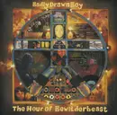 CD - Badly Drawn Boy - The Hour Of Bewilderbeast