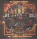 LP - Badly Drawn Boy - The Hour Of Bewilderbeast