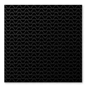 12inch Vinyl Single - Bärtaub - Rhizome - Limited Edition