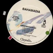 12inch Vinyl Single - Bahamadia - Uknowhowwedu