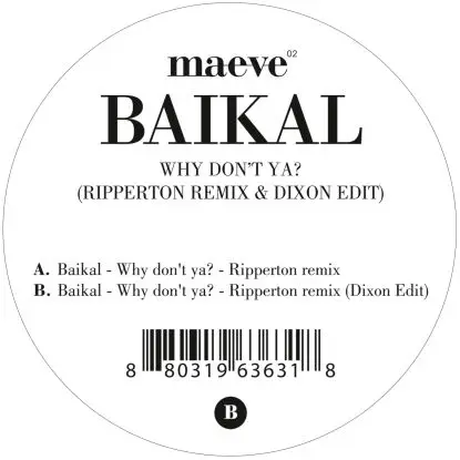 Baikal - Why Don't Ya? (Ripperton Remix & Dixon Edit)