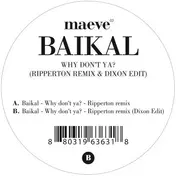 Baikal - Why Don't Ya? (Ripperton Remix & Dixon Edit)