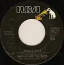 7inch Vinyl Single - Baillie & The Boys - Wilder Days