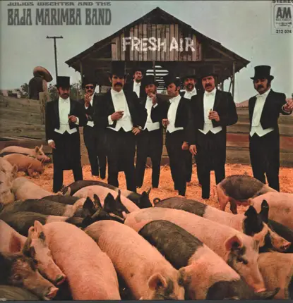 Baja Marimba Band - Fresh Air
