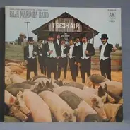 Baja Marimba Band - Fresh Air