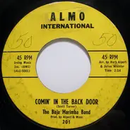 Baja Marimba Band - Comin' In The Back Door