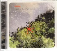 Ballboy - A Guide For the Daylight Hours