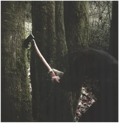Baptists - Bushcraft