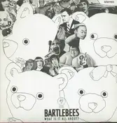 The Bartlebees - What is it all about