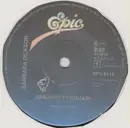 7inch Vinyl Single - Barbara Dickson - January - February - Solid Centre