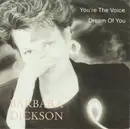 7inch Vinyl Single - Barbara Dickson - You're The Voice / Dream Of You