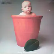 LP - Barclay James Harvest - Baby James Harvest