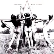 Bardo Pond - Peace on Venus