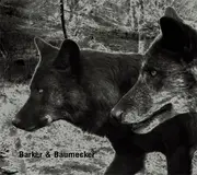 CD - Barker & Baumecker - Transsektoral