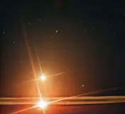 barn owl - Ancestral Star