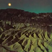 barn owl - Lost in the Glare