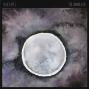 barn owl - Shadowland