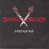 7'' - Barnstormer - Sarajevo - EP