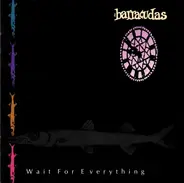 Barracudas - Wait For Everything