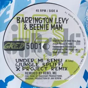 Barrington Levy - Under Mi Sensi