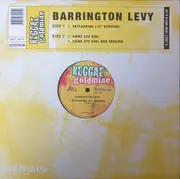 12inch Vinyl Single - Barrington Levy - Skylarking / Shine Eye Girl