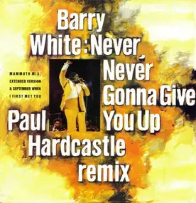 Barry White - Never, Never Gonna Give Ya Up