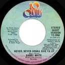 7inch Vinyl Single - Barry White - Never, Never Gonna Give Ya Up - 1st Issue