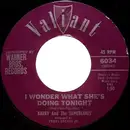 7inch Vinyl Single - Barry And The Tamerlanes - I Wonder What She's Doing Tonight