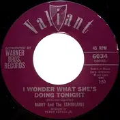 Barry - I Wonder What She's Doing Tonight