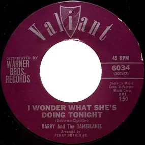 Barry - I Wonder What She's Doing Tonight