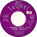 7inch Vinyl Single - Barry And The Tamerlanes - I Wonder What She's Doing Tonight