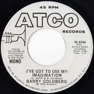 Barry Goldberg - (I've Got To Use My) Imagination