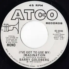 Barry Goldberg - (I've Got To Use My) Imagination