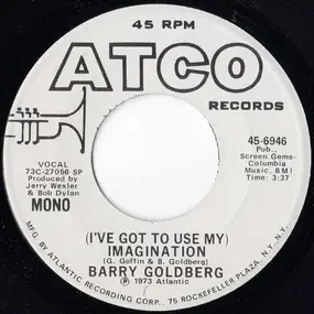 Barry Goldberg - (I've Got To Use My) Imagination