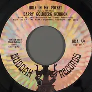 Barry Goldberg Reunion - Hole In My Pocket / Sittin' In Circles