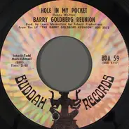Barry Goldberg Reunion - Hole In My Pocket / Sittin' In Circles