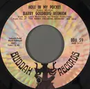 7inch Vinyl Single - Barry Goldberg Reunion - Hole In My Pocket / Sittin' In Circles