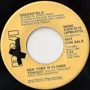 Barry Greenfield - New York Is Closed Tonight