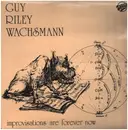 LP - Barry Guy , Howard Riley , Philipp Wachsmann - Improvisations Are Forever Now