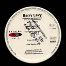 12inch Vinyl Single - Barry Levy - Summerfun & Oceanwaves