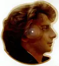 Picture LP - Barry Manilow - Read 'Em And Weep - shaped picture 7'