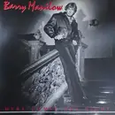 LP - Barry Manilow - Here Comes The Night - + insert + obi