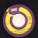 7inch Vinyl Single - Barry Pohl And The Concessions - Horn, Harpsicord & Do Not Disturb - Promo