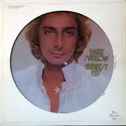 Double LP - Barry Manilow - Greatest Hits - PICTURE DISCS