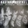 LP - Bastard Kestrel - Oh Splendid Mushroom