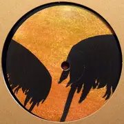 12inch Vinyl Single - Basteroid - Clavilux