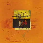 The Basement - Colour Me In Kindness