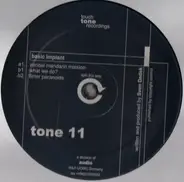 Basic Implant - Vandal Mandarin Mission